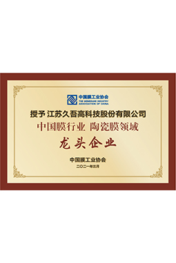 中國膜行業樱桃视频在线观看入口領域龍頭企業